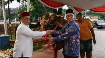 Penampakan Sapi Limousin 1 Ton Milik Wapres Ma'ruf Amin di Masjid Istiqlal