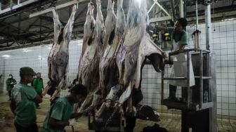 Pekerja memotong daging sapi kurban di Rumah Pemotongan Hewan (RPH) PD Dharma Jaya, Cakung, Jakarta Timur, Kamis (29/6/2023). [Suara.com/Alfian Winanto]