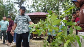 Gubernur Sulsel Andi Sudirman Tanam Pohon Durian, Rambutan, dan Alpukat di Bone