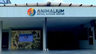 Serba-Serbi Animalium BRIN yang Baru Diresmikan: Tiket, Jam Buka dan Fasilitas