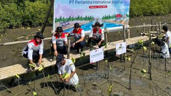 Pertamina International Shipping Lakukan Penanaman 1000 Mangrove di Makassar