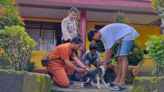 Cegah Rabies, Ratusan Anjing di Ambon Divaksin