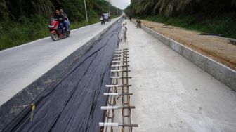 Pembangunan Jalan dan Jembatan di Mesuji Jadi Prioritas, Ini Titik-titiknya