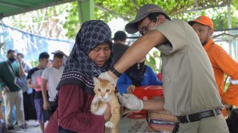 Anjing dan Kucing Mendominasi Kasus Gigitan Rabies di Pesisir Barat