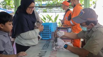 Petugas memasukan dosis vaksin rabies untuk disuntikan ke kucing di Kantor Kelurahan Manggarai Selatan, Jakarta Selatan, Senin (10/7/2023). [Suara.com/Alfian Winanto]