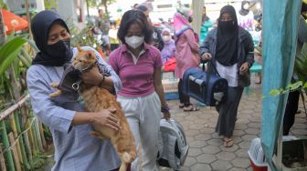 Warga membawa hewan peliharaannya untuk divaksin rabies di Kantor Kelurahan Manggarai Selatan, Jakarta Selatan, Senin (10/7/2023). [Suara.com/Alfian Winanto]