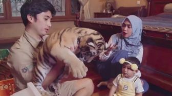 Kecil-kecil Nyali Gede, Baby Moana Putri Ria Ricis Main Bareng Anak Harimau