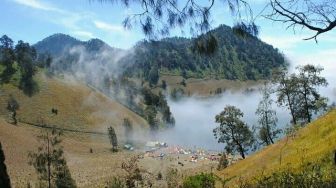 Daya Tarik Ranu Kumbolo, Jadi Spot Favorit Camping Para Pendaki di Semeru