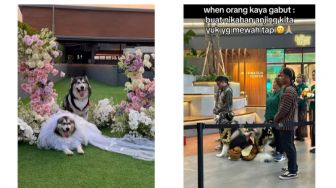 Viral! Pernikahan Anjing Pakai Adat Jawa, Habiskan Kocek hingga Rp200 Juta