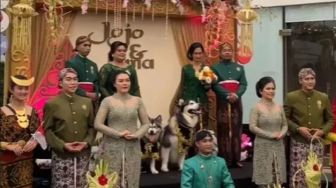 Penyelenggara Pernikahan Anjing Pakai Adat Jawa Akhirnya Minta Maaf, Tuai Pro Kontra