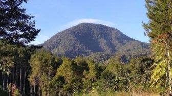 Gunung Bukit Tunggul, Tempat Wisata Alam Cocok untuk Refreshing di Lembang