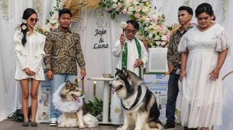 Dua 'Pencemaran' Dituduhkan ke Pemilik Anjing Jojo dan Luna, Pernikahan Lecehkan Agama dan Adat?