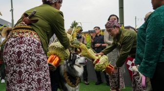 Siapakah Sosok Crazy Rich PIK yang Gelar Pernikahan Anjing? Ini Jawabannya