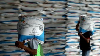 2024, Lampung Dapat Alokasi Pupuk Subsidi Urea 204 Ribu Ton