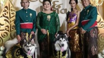 Viral Pernikahan Anjing Jojo dan Luna Kenakan Pakaian Adat Jawa, Perpari Tuntut Penyelenggara Minta Maaf