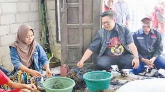 Rendi Solihin Bagikan 140 Ton Bibit Rumput Laut di Samboja