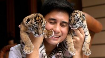 Alshad Ahmad Muak Dituding Jadi Biang Kematian Anak Harimau: Tepuk Tangan Buat yang Tiba-tiba Ekspert