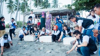 Jaga Keseimbangan Alam, BRI Insurance Lepas Ratusan Tukik di Pulau Anak Karas