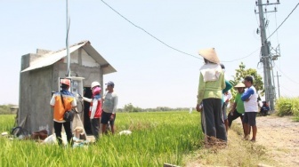 Electrifying Agriculture PLN Tumbuh 22,28% Berkat Pertanian Modern yang Kian Berkembang