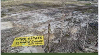 Pakar Gambut UGM Sebut Proyek Food Estate di Merauke Berisiko Ganggu Ekosistem Lahan