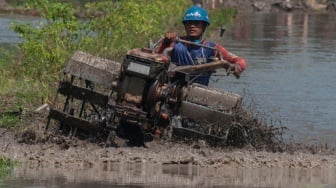 Adu Cepat Kejuaraan Balap Traktor di Klaten