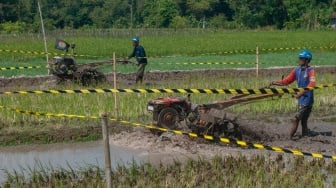 Dua peserta beradu kecepatan saat kejuaran balap traktor di Karangduren, Kebonarum, Klaten, Jawa Tengah, Sabtu (29/7/2023). [ANTARA FOTO/Aloysius Jarot Nugroho/rwa]