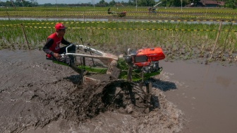 Peserta beradu kecepatan saat kejuaran balap traktor di Karangduren, Kebonarum, Klaten, Jawa Tengah, Sabtu (29/7/2023). [ANTARA FOTO/Aloysius Jarot Nugroho/rwa]