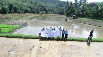 PLN Indonesia Power PLTU Ombilin Sulap FABA Jadi Pupuk Silika