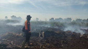 BREAKING NEWS: 1.481 Hektare Lahan Terbakar, Kualitas Udara di Kubu Raya Masuk Zona Kuning