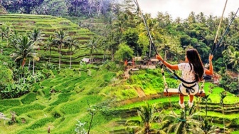 Berjarak 30 Kilometer dari Denpasar, Picu Adrenalin di Bali Swing Ubud