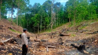 3 Lokasi Rawan Karhutla di Pesisir Barat, Dalam Pemantauan Polisi