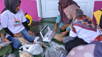 Pengembangan Produk Ikan Asin Bantu Istri Para Nelayan di Pangandaran