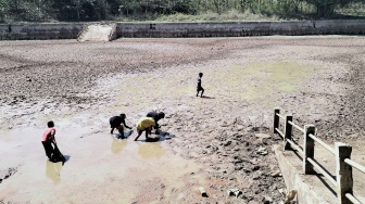 Telaga di Gunungkidul Mulai Mengering Akibat Kemarau, Warga Terpaksa Jual Hewan Ternak