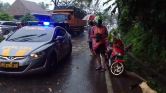 Breaking News! Pengendara Sepeda Motor di Padang Tewas Ditimpa Pohon Tumbang