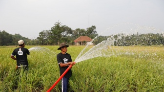 Selamatkan Petani dari Gagal Panen Lewat Pemberian Bantuan Mesin Pompa Air