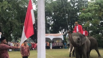 Detik-detik Tiga Gajah di Riau Kibarkan Bendera Merah Putih