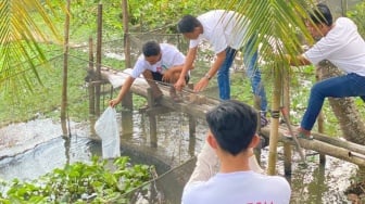 PMN Sumsel Ajak Milenial Latih Budi Daya Ikan Lele di Palembang