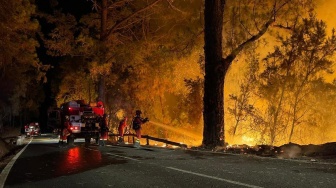 Petugas pemadam kebakaran berusaha memadamkan api kebakaran hutan di bagian timur laut Tenerife, Kepualuan Canary, Spanyol, Kamis (17/8/2023). [Handout / UME / AFP]