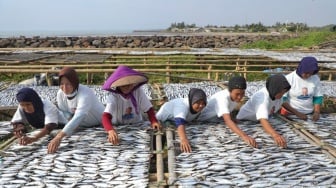 Bantu Nelayan Lewat Praktik Pengolahan Ikan dan Beri Bantuan ke Warga di Banten