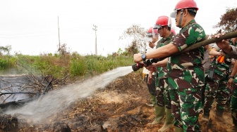 Panglima TNI Kaget Saat Cek Lokasi Kebakaran Hutan di Kalbar: Gak Kaya di TV, Susah Sekali Padamnya