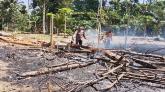 Deretan Wilayah yang Harus Waspada dari Karhutla