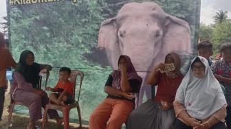 Nasib Perempuan Desa Penyangga TNWK di Tengah Himpitan Konflik Gajah vs Manusia