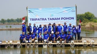 Cegah Perubahan Iklim, TRIPATRA Tanam 50.000 Pohon