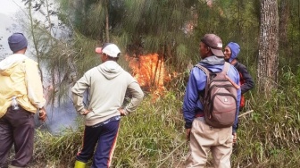 Hutan Gunung Lawu Terbakar, Lahan Seluas 9 Hektare Dilahap Si Jago Merah