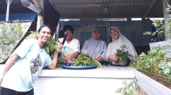 Nasabah PNM Geluti Urban Farming Bantu Program Cegah Stunting