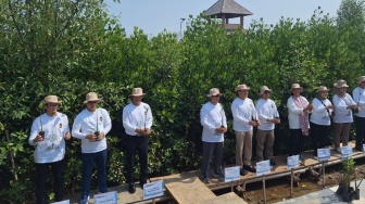 Kolaborasi dengan Pemerintah, Bukit Asam (PTBA) Ikut Aksi Tanam Mangrove