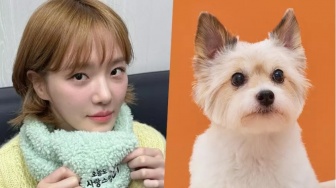 Cute Abis, Park Gyu Young Jadi Anak Anjing dalam 'A Good Day to Be a Dog'