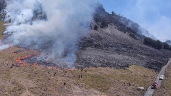 Asal Usul Julukan Bukit Teletubbies Savana Gunung Bromo yang Kini Terbakar