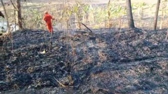 Peristiwa Kebakaran di Gunungkidul Melonjak Dalam Dua Bulan, Kerugian Capai Rp2,4 Miliar