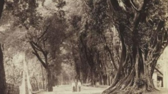 Publik Soroti Foto Jalan di Pasuruan Tahun 1890-an: Zaman Dulu Pasti Sejuk Banget